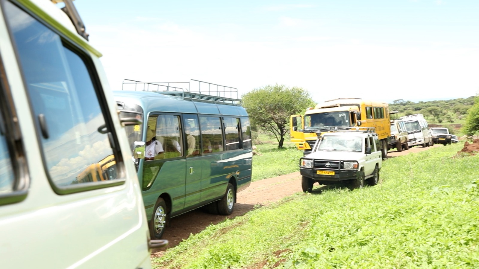 Warm golden light over the bush near Makuyuni