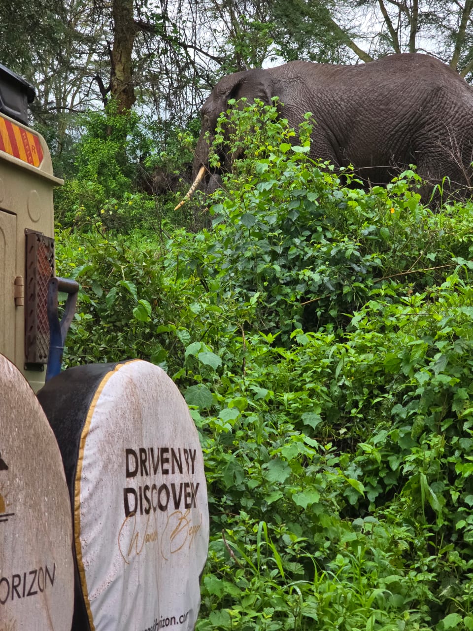 Maasai Horizon cruiser detail from Makuyuni day trip
